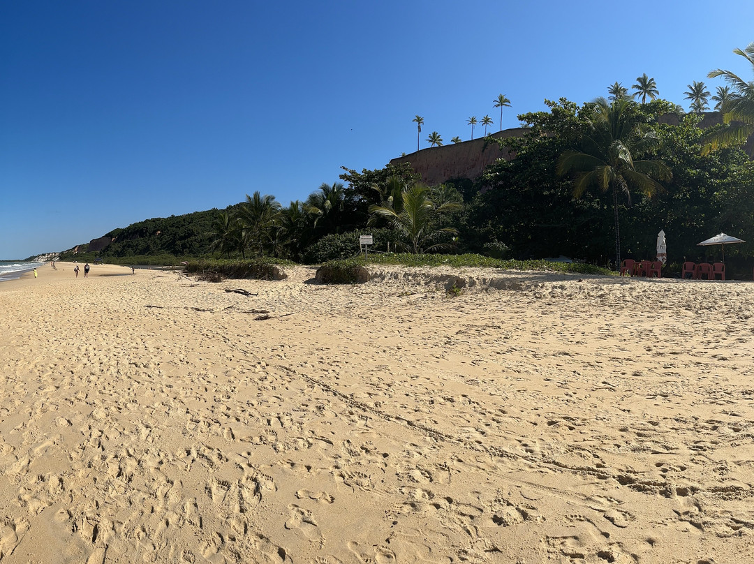 Elenilson Turismo-Porto Seguro必去景点