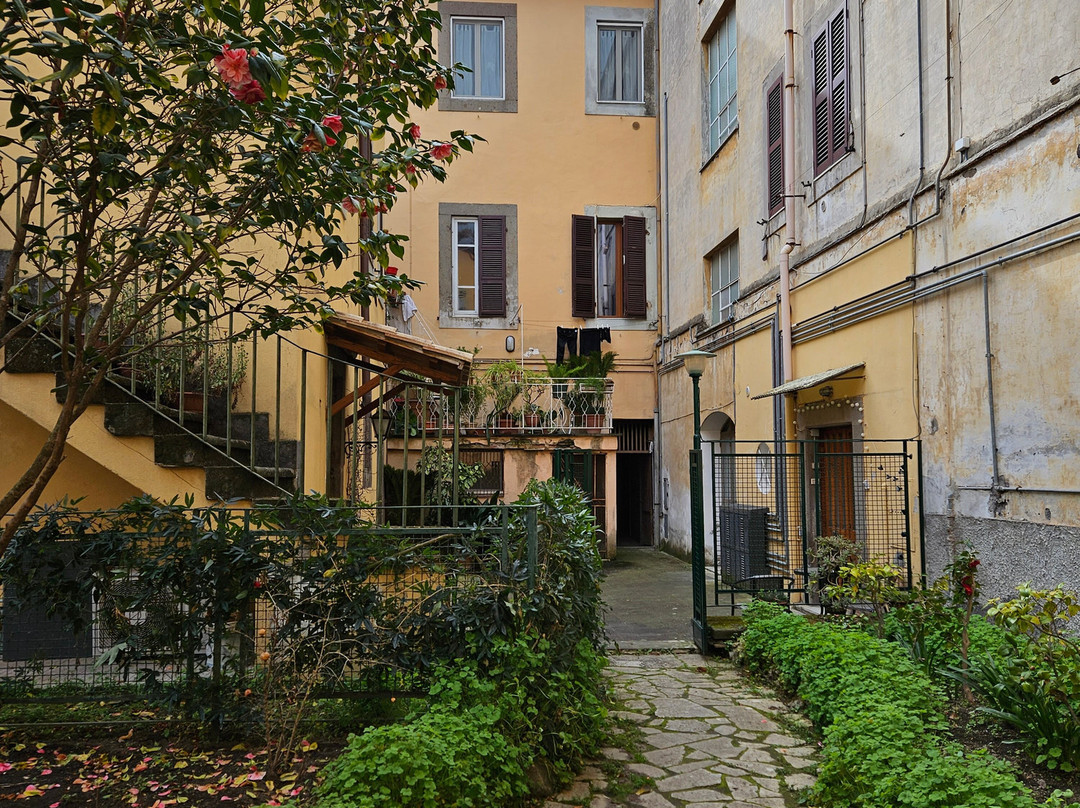 B&B Il Giardino delle Camelie主图