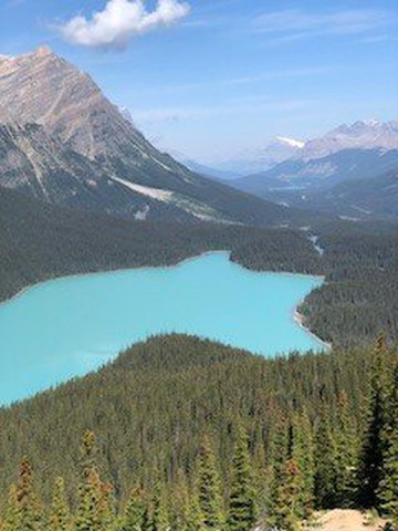 Westar Travel Ltd-卡尔加里必去景点