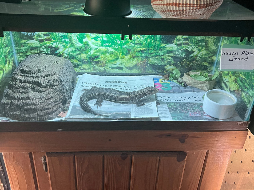 Reptile World Serpentarium-圣克劳德必去景点