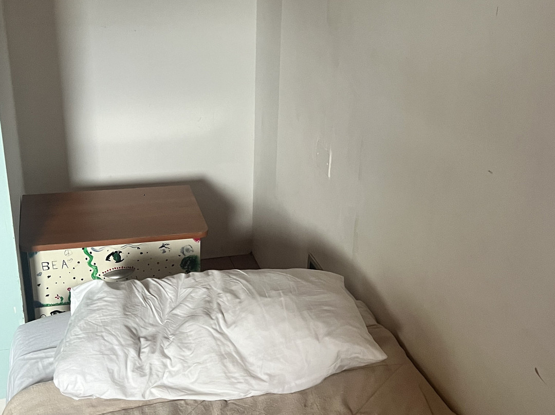 B&B Molina主图