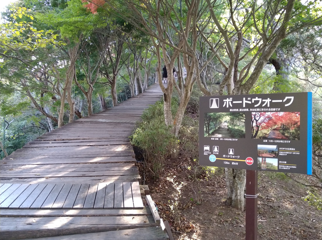 Izu Panorama Park Boardwalk景点图片