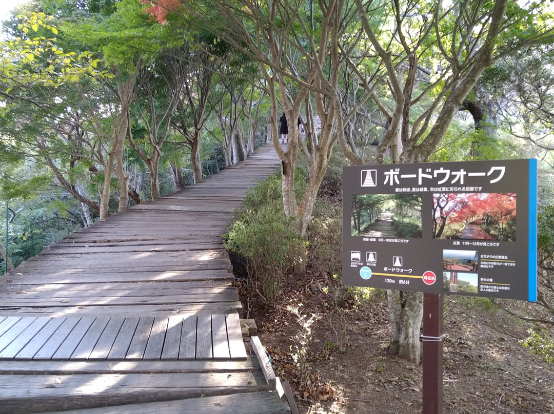Izu Panorama Park Boardwalk-伊豆之国市必去景点