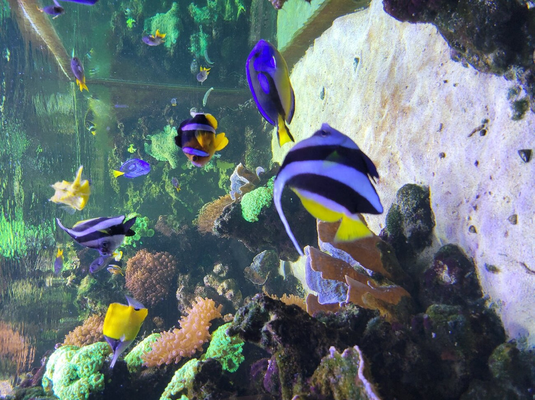 Muséum-Aquarium de Nancy景点图片
