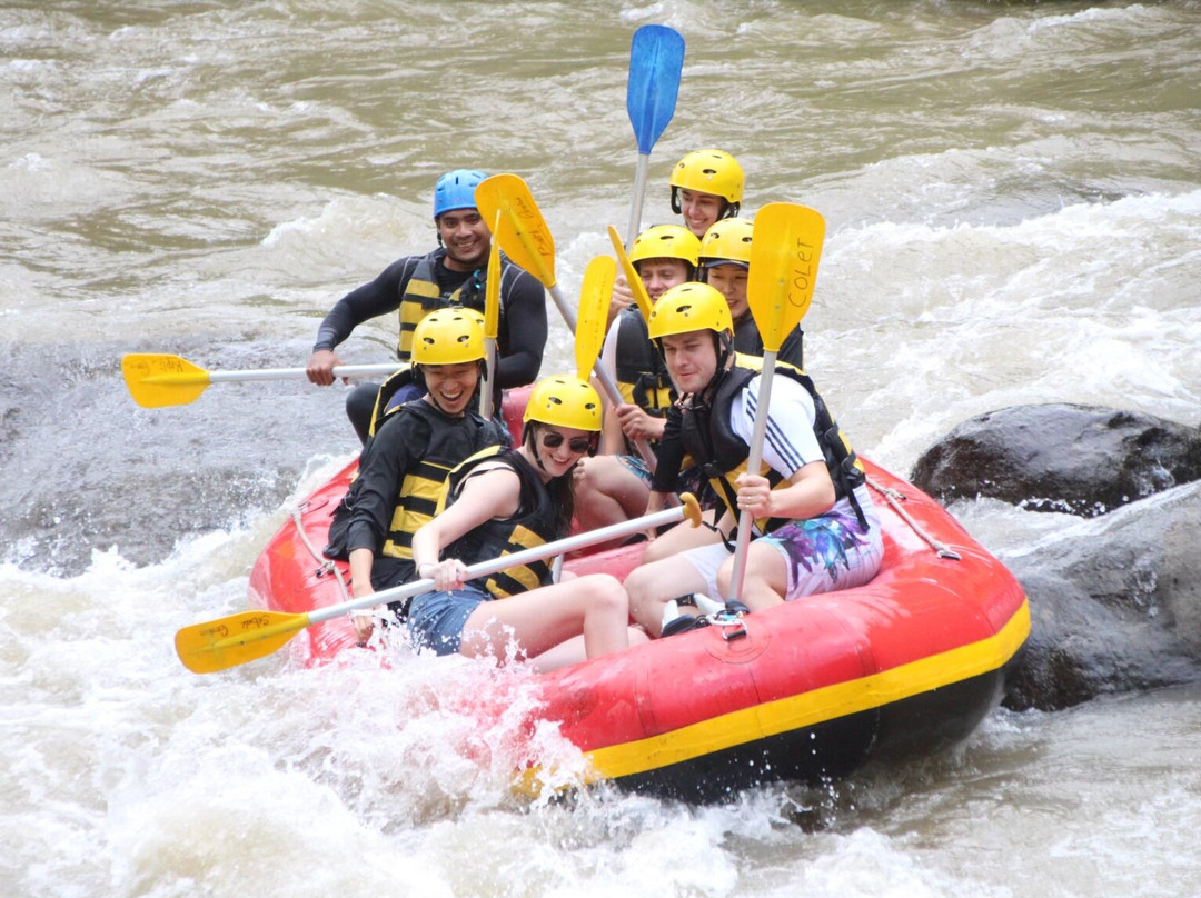 Diana Bali Tours - Day Tours景点图片