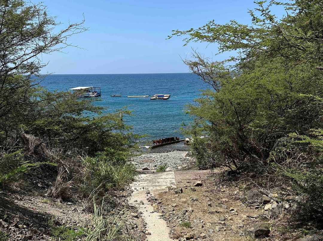 Tiki Hut Snorkel Park景点图片