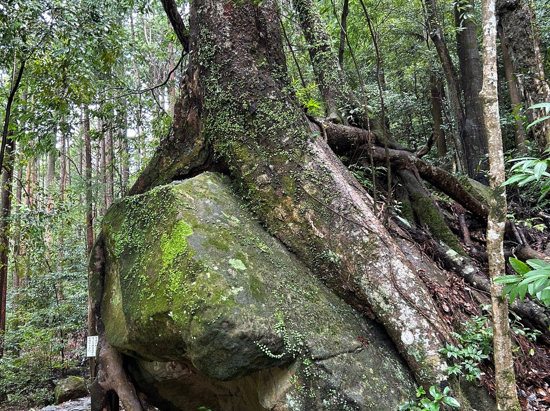 Ruins of Takijiri-oji景点图片