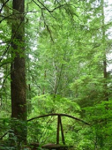 Tla Ook Cultural Adventures-托菲诺必去景点