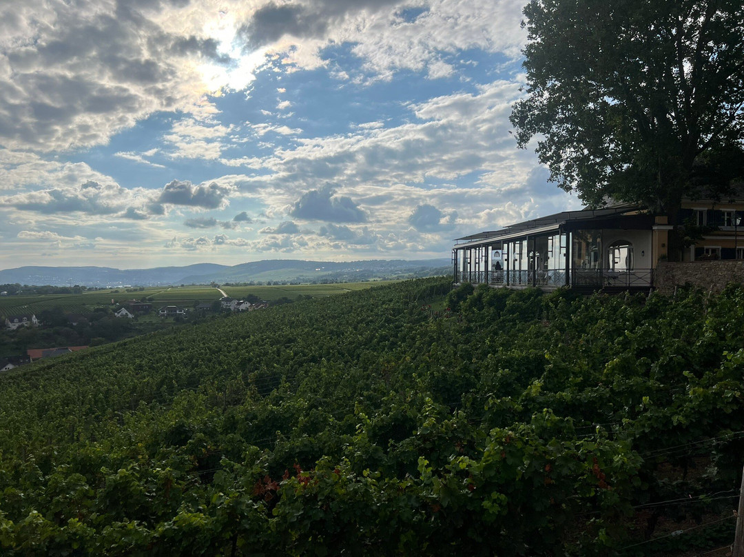 Schloss Johannisberg-盖森海姆必去景点