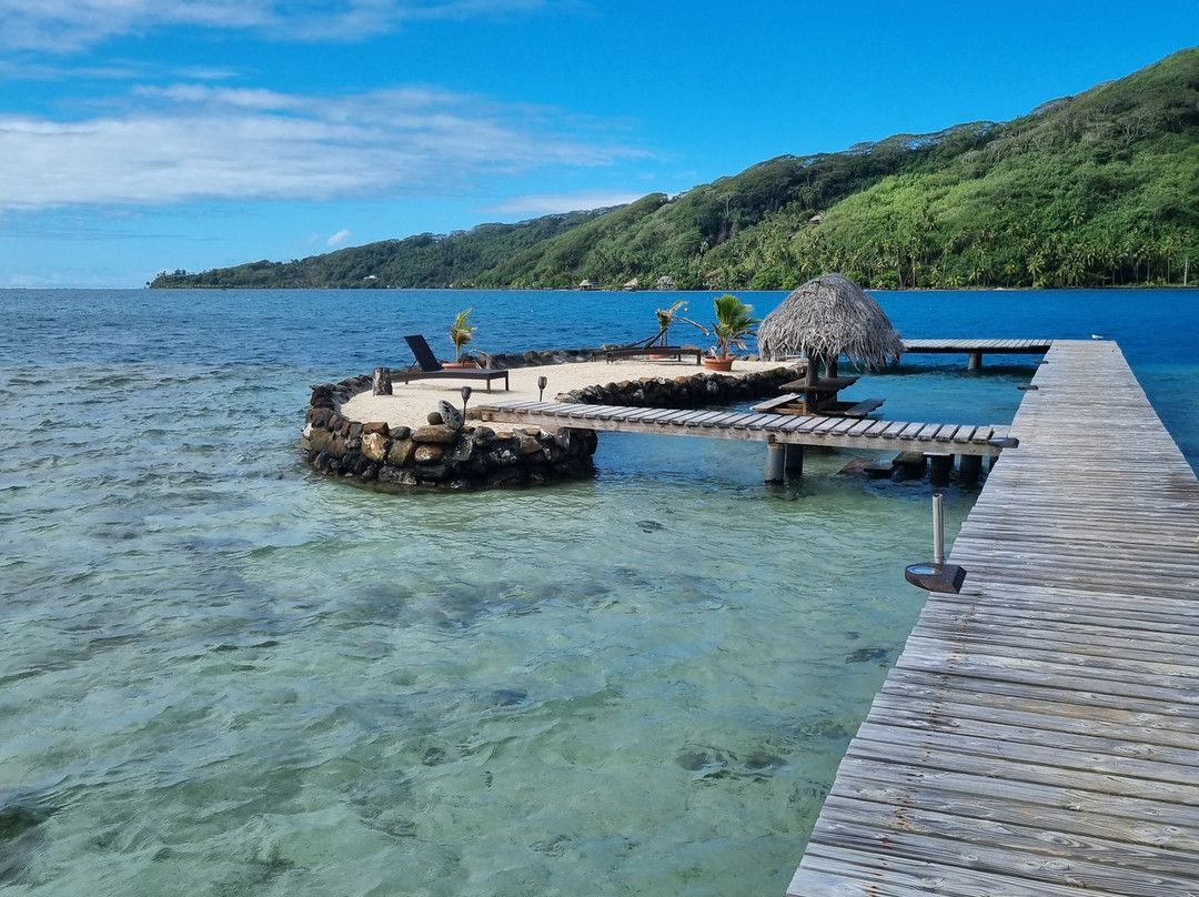 Pension Hibiscus Taha'a主图