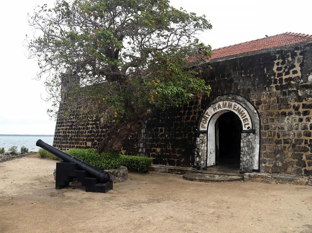 Fort Hammenhiel Resort主图