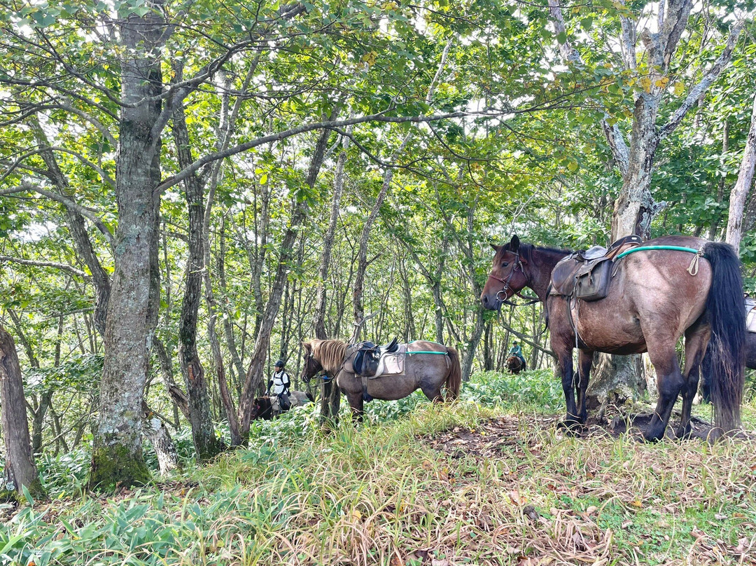 Tsurui Dosanko Farm主图