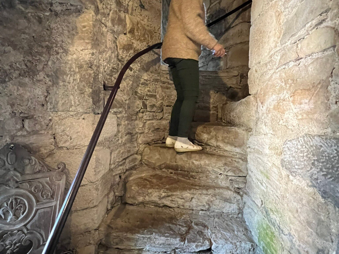 Ballaghmore Castle主图