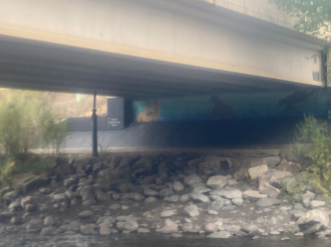 Yamaguchi Park-帕戈萨斯普林斯必去景点