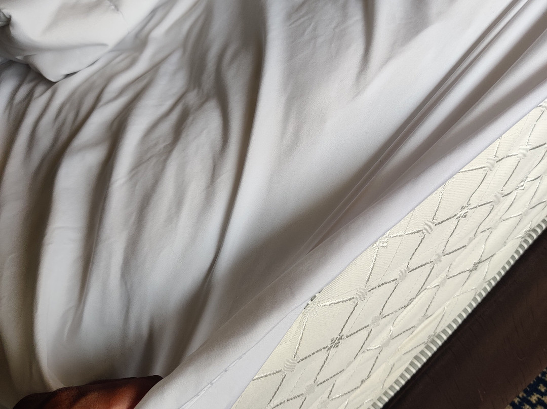 南海滨康福特茵酒店主图