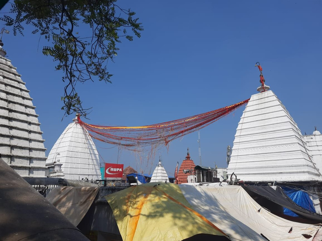 Baba Baidyanath Temple景点图片