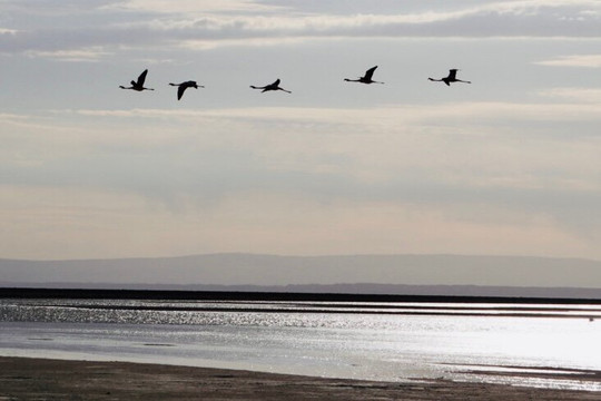 Tastur-Bahia Inglesa必去景点
