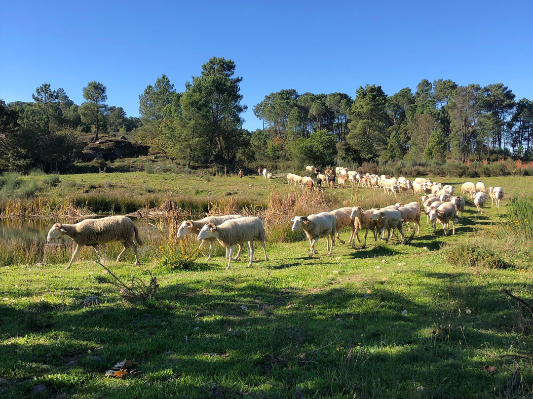 Quinta da Estaca景点图片