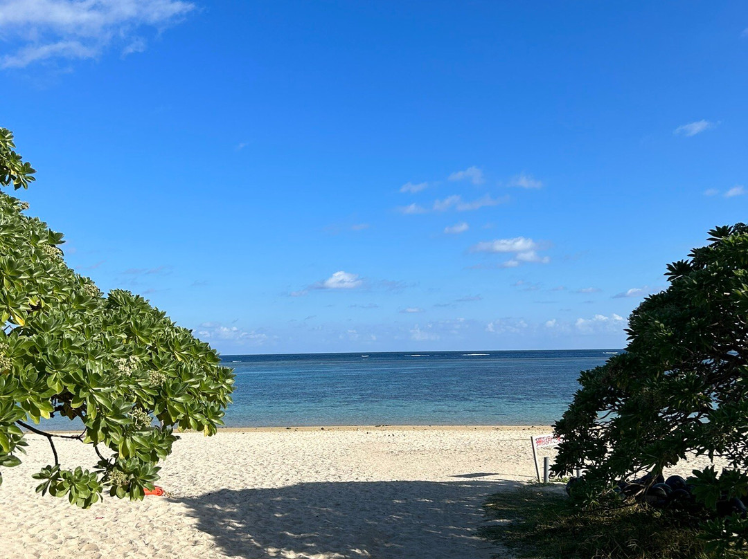 新城海岸景点图片