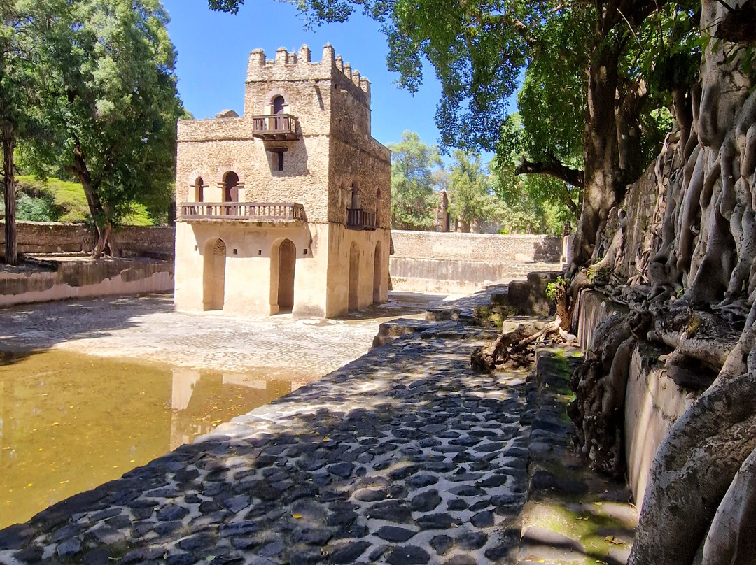 Simien Mountains Outstanding Nature Tours-Debark必去景点