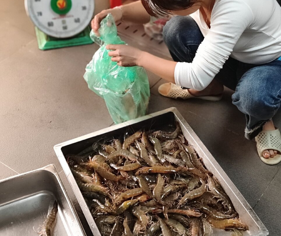 Ramada Hotel & Suites by Wyndham Halong Bay View主图