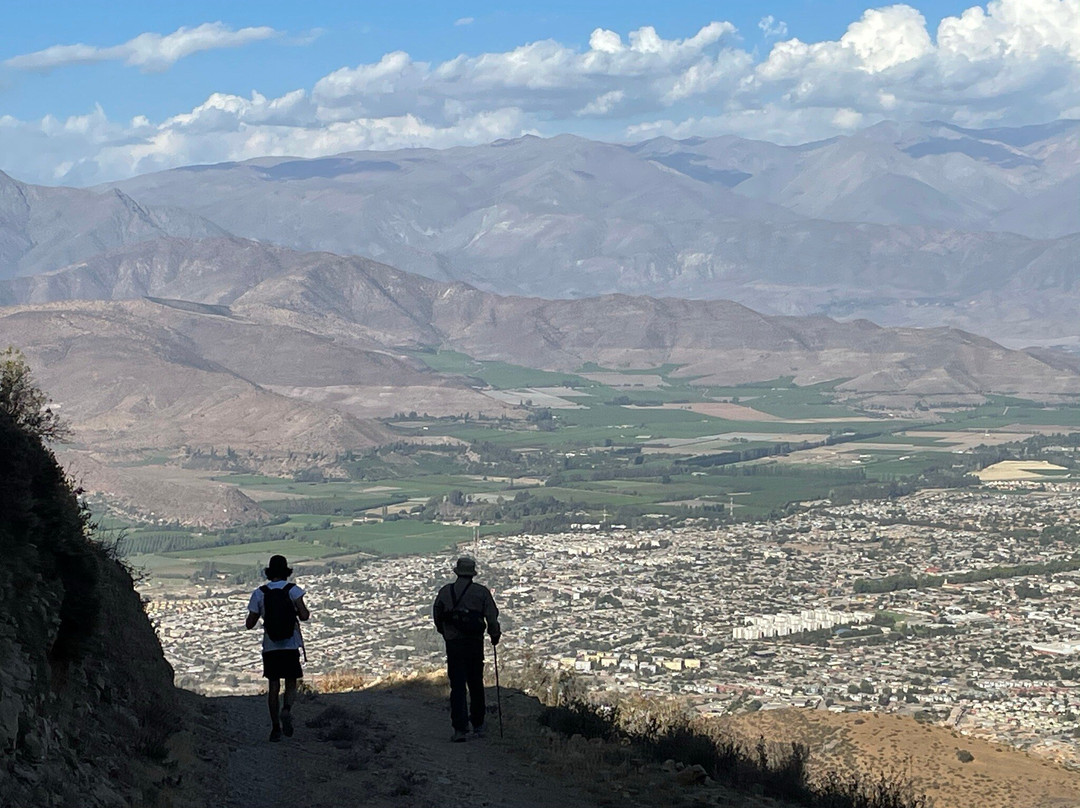 Parque La Giganta-Panquehue必去景点