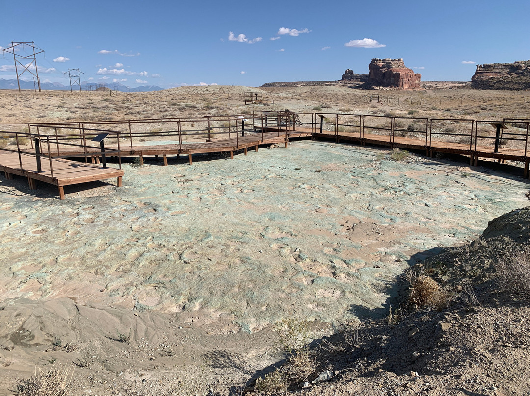 Mill Canyon Dinosaur Trail-莫阿布必去景点