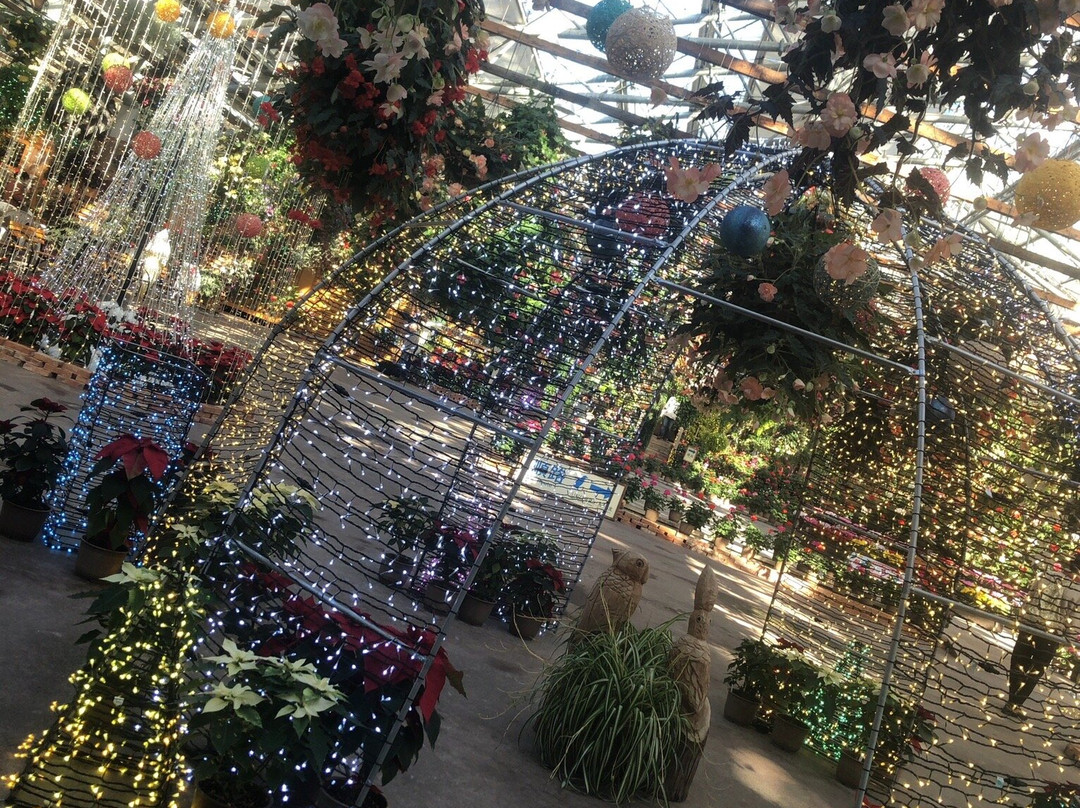 松江花鳥園-松江市必去景点