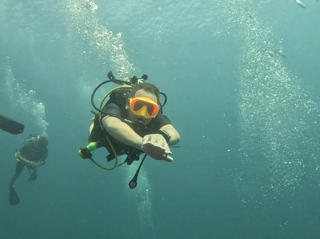 Blue Horizon Diving and Adventures景点图片