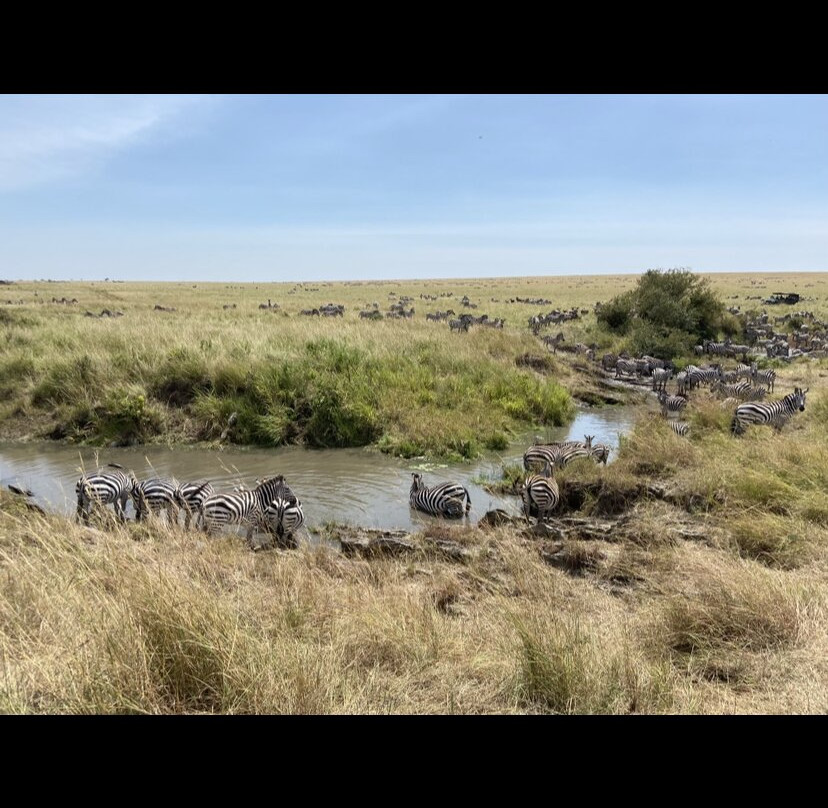 Sindio Tours & Events-Kikuyu必去景点