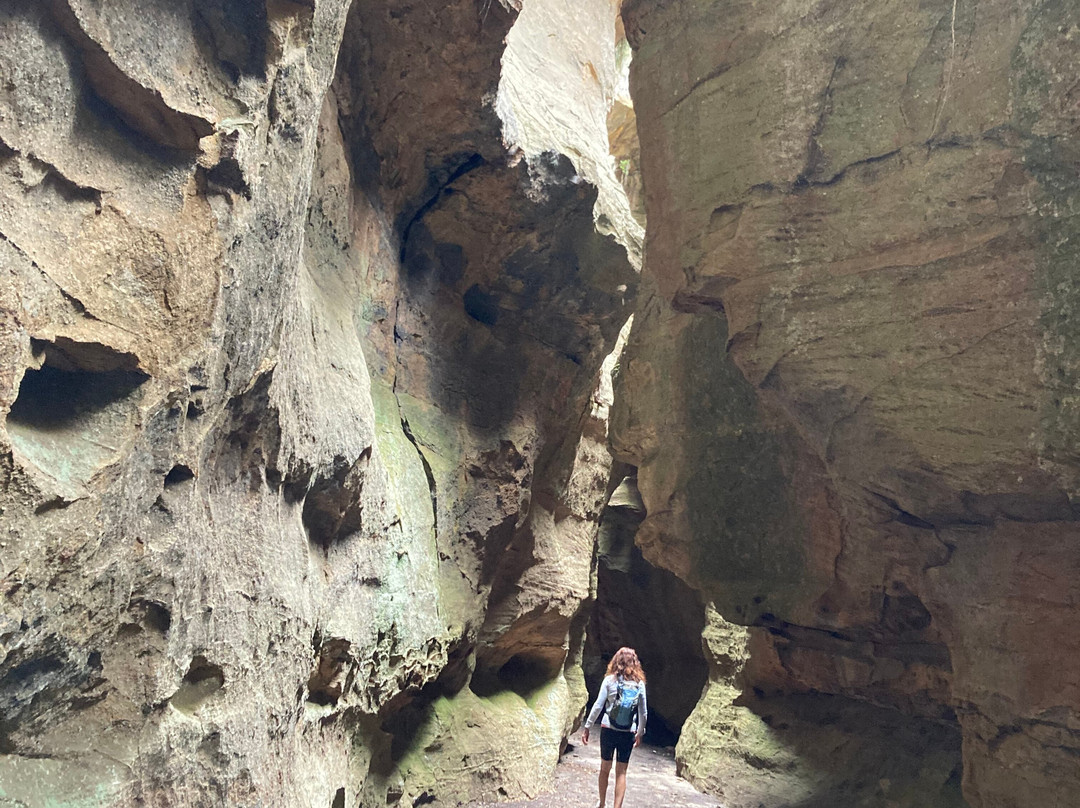 Glow Worm Tunnel-利特高必去景点