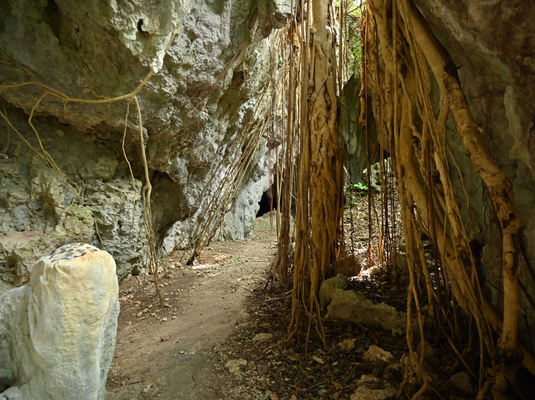 Ufuyaguchi Limestone Cave景点图片