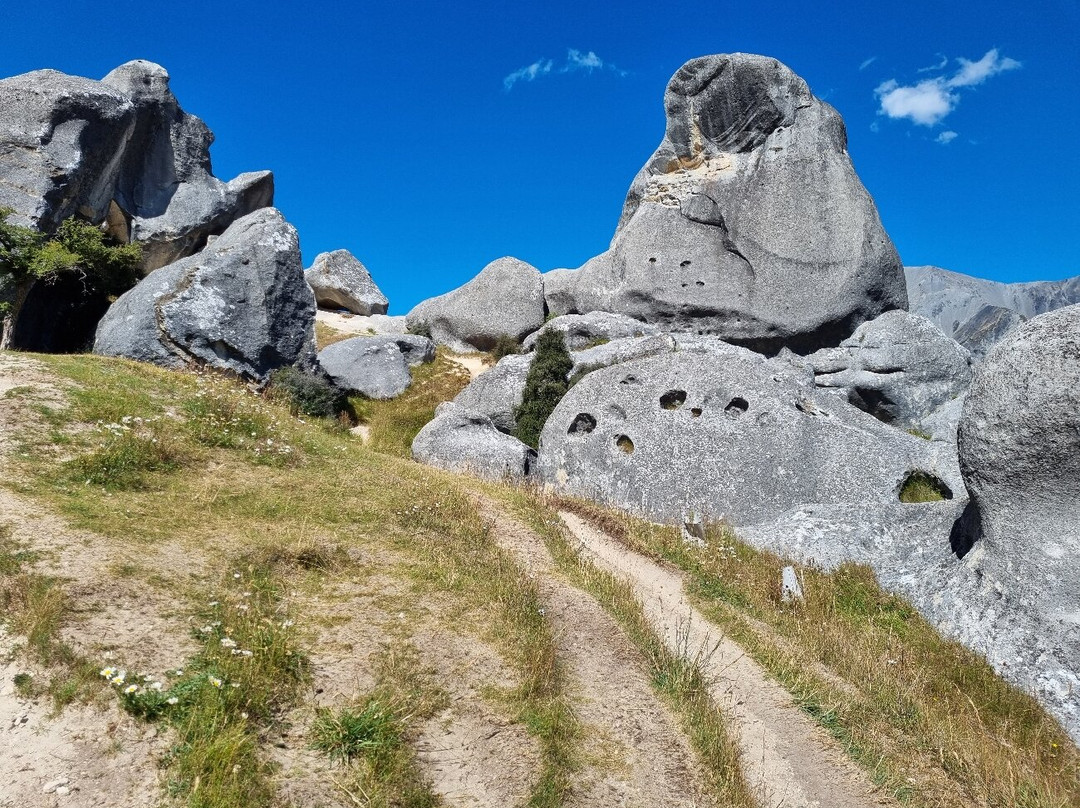 Kura Tawhiti Conservation Area-Castle Hill必去景点