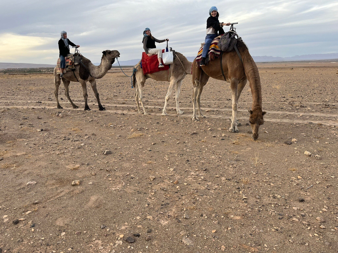 4 Marrakech Private Tours-马拉喀什必去景点