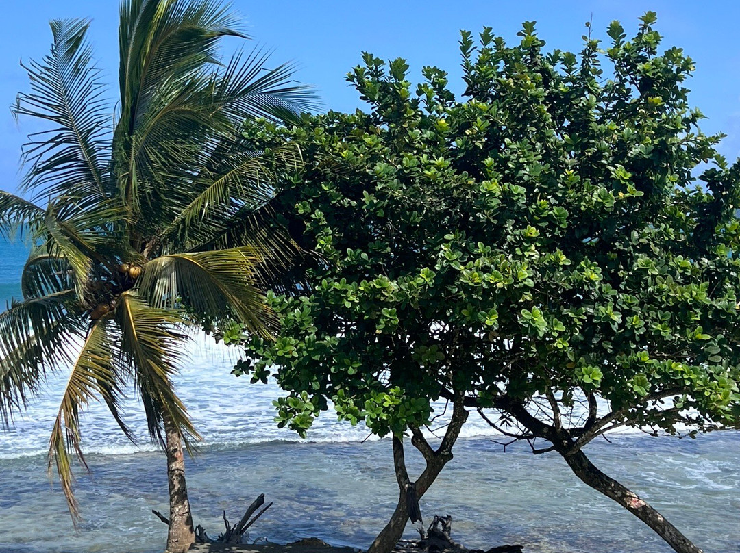 La Coralina Beach Club