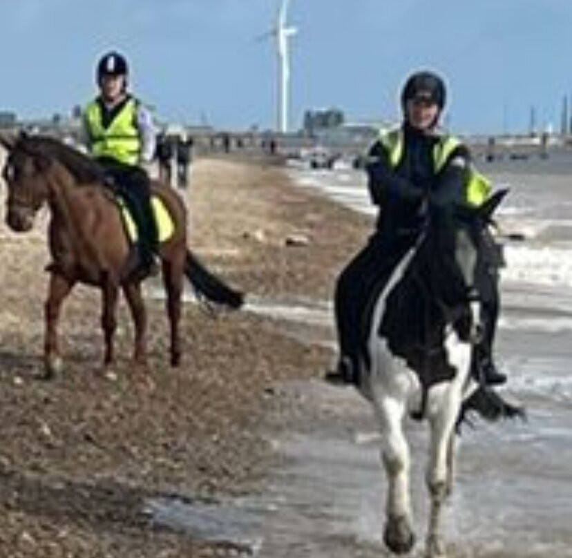 Pakefield Riding School-洛斯托夫特瓷必去景点