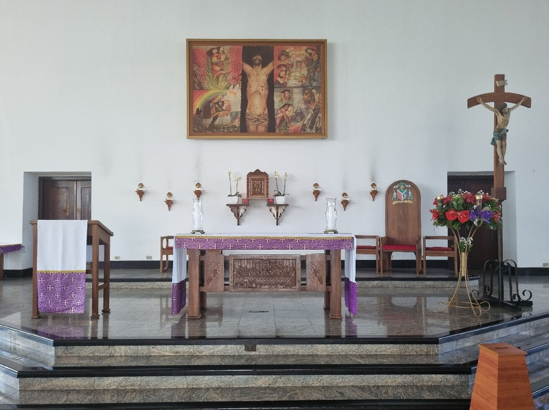 Catedral Santa Cruz景点图片