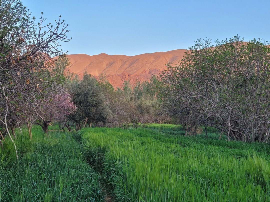 Morocco Best Travel-马拉喀什必去景点