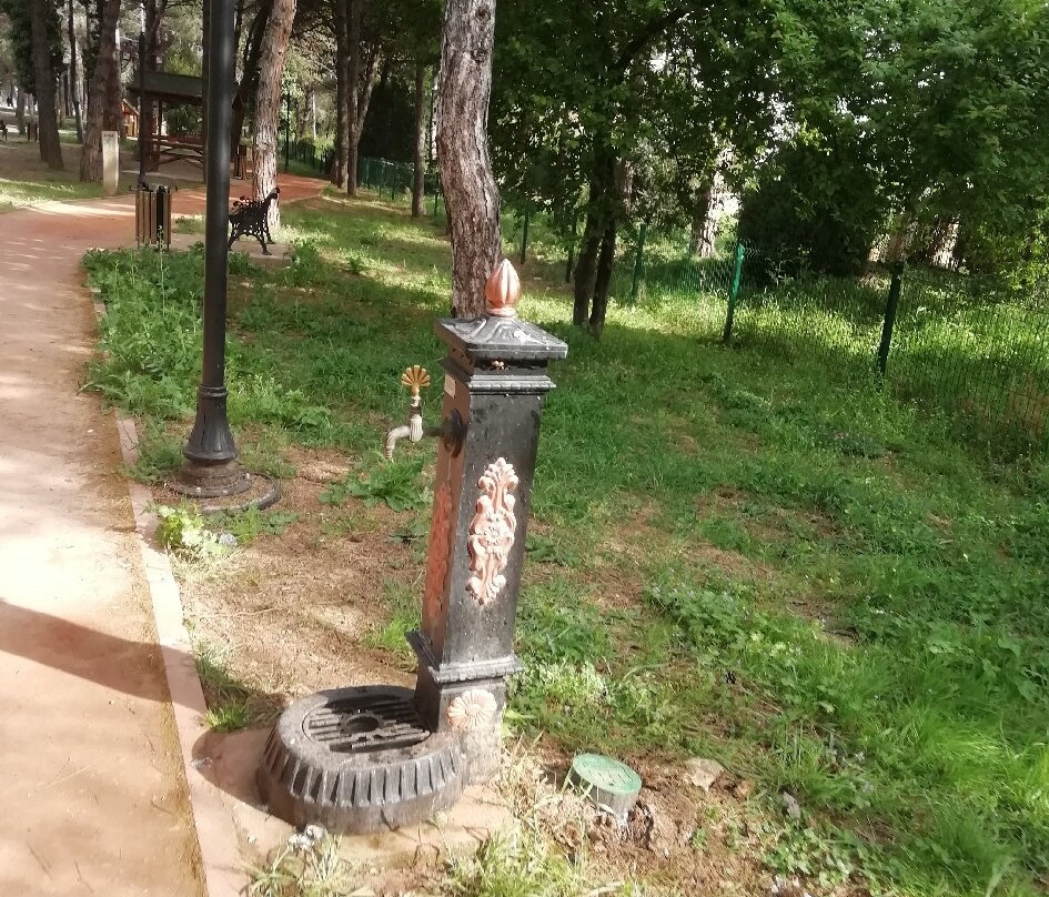 Mercan City Park and Sports Facilities