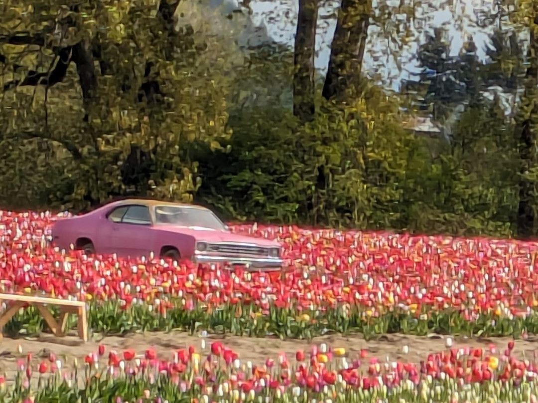 Botanica Flower Festival景点图片