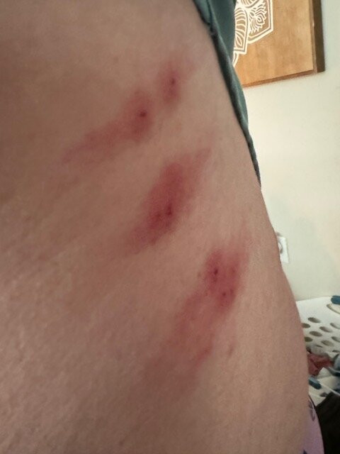 Hampton Inn Valdosta/Lake Park Area主图