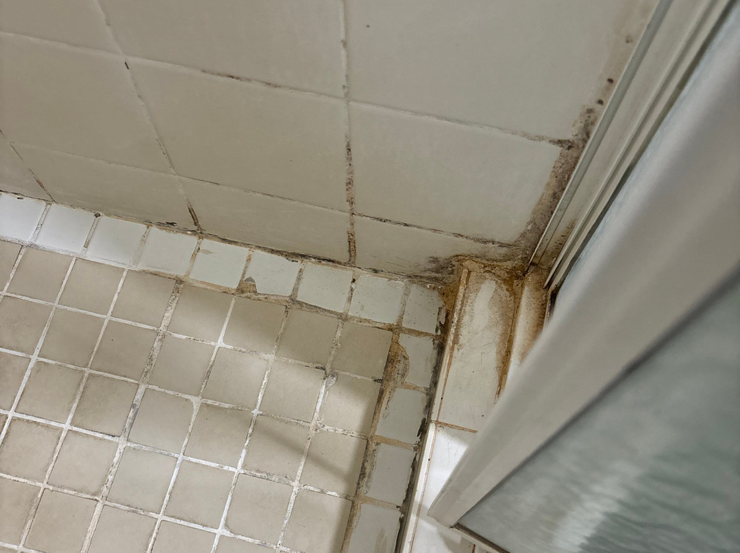 The Jumbuck Motel主图