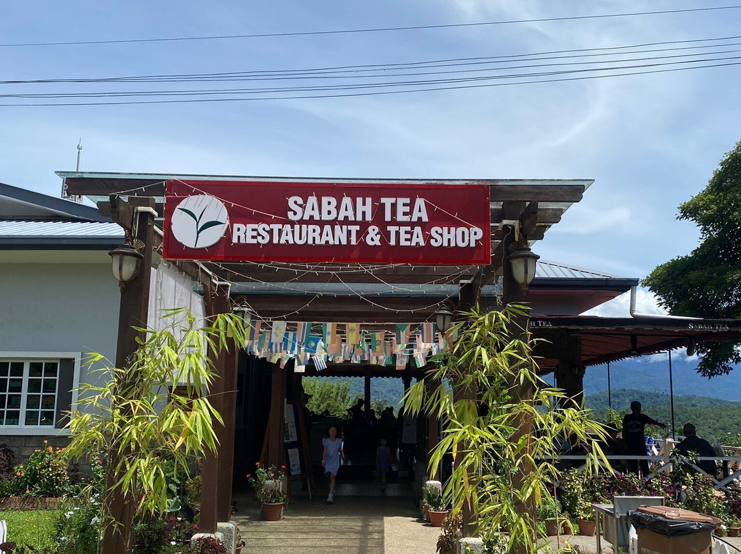 Sabah Tea Garden Day Tours-拉瑙必去景点