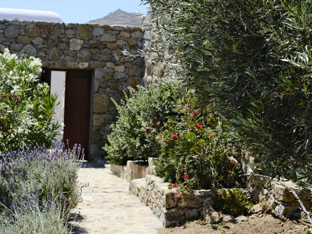 Villa Nautilia主图