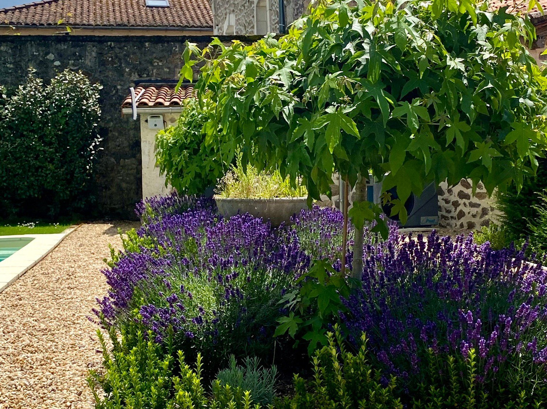 Le Jardin Secret主图