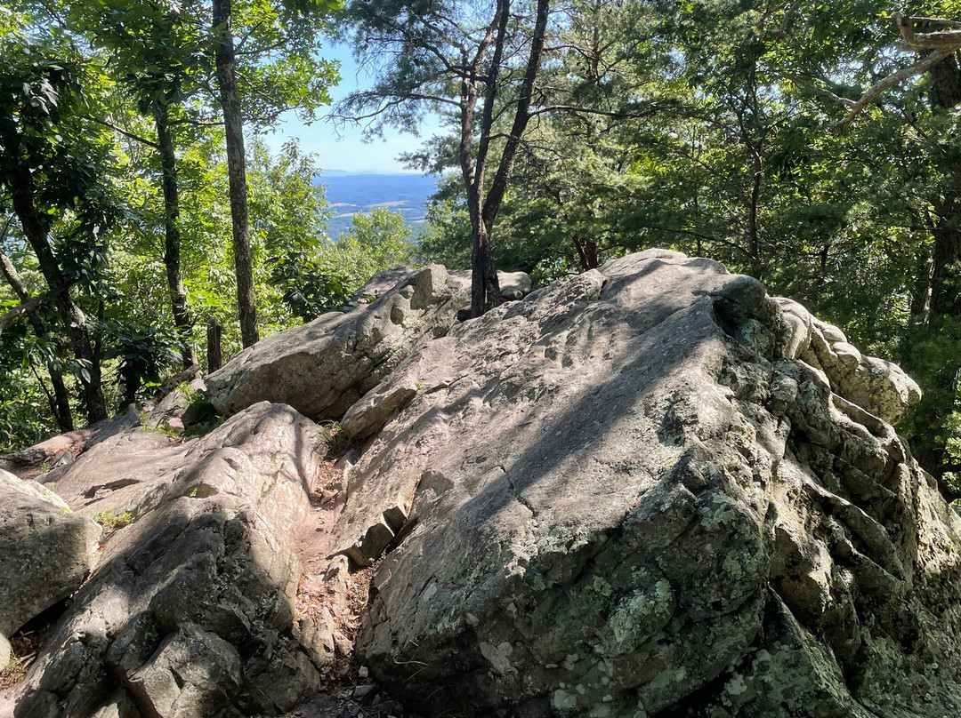 House Mountain State Natural Area-诺克斯维尔必去景点