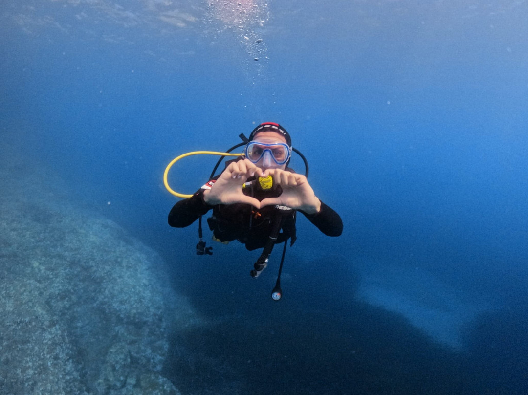 Barracuda diving-Nerano必去景点