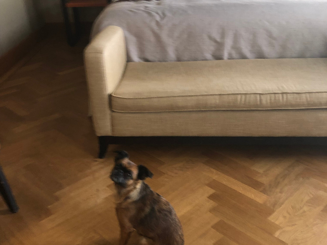 普林森霍夫旅馆主图