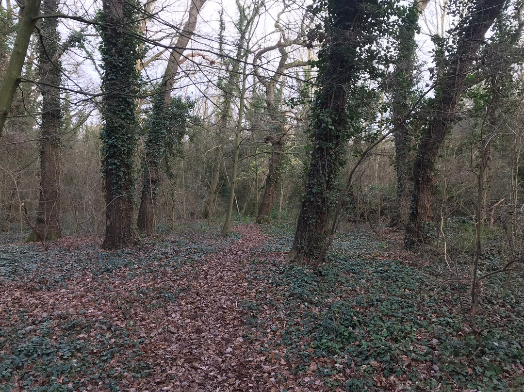 Langdon Nature Reserve景点图片