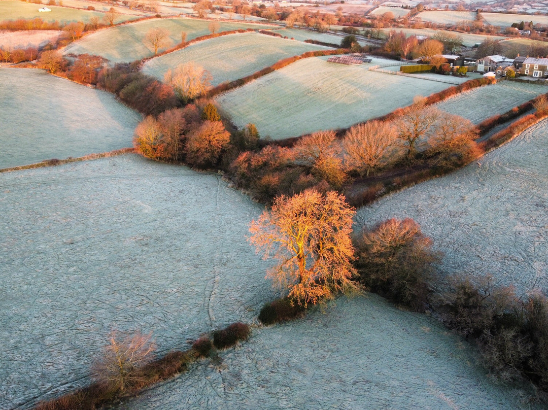 Cow Close Farm By Wild & Other主图